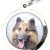 Médaille pour chien figurine chien