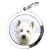 Médaille pour chien figurine chien