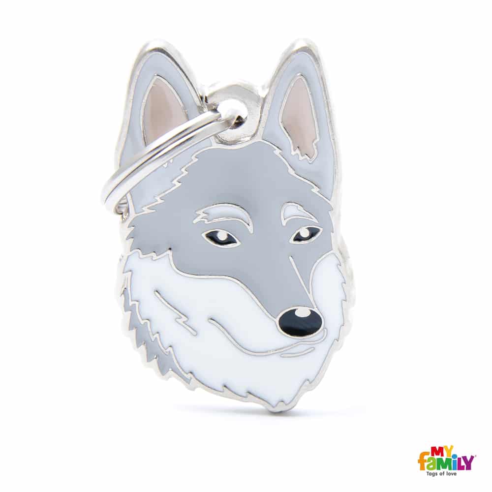 Read more about the article Médaille chien collier rond chien