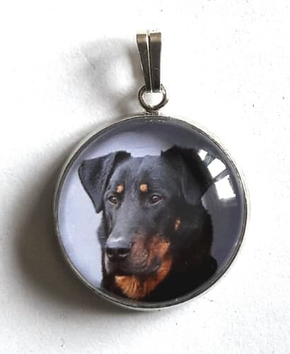 Read more about the article Médaille chien collier pour chien personnalisable