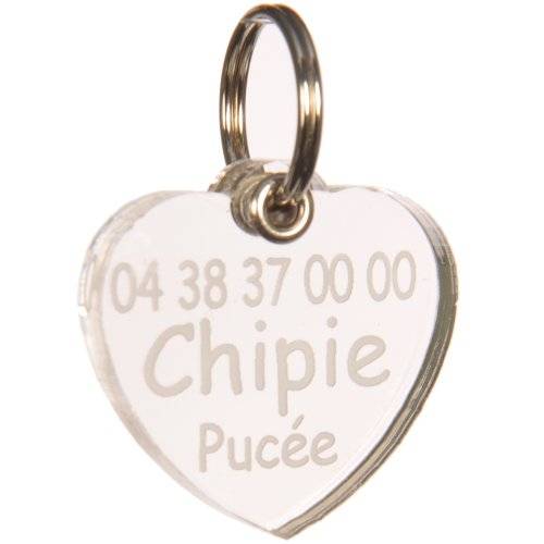 Read more about the article Médaille chien imperméable noir