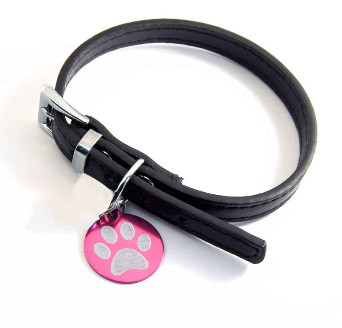 Read more about the article Médaille chien medaille chien ahuntsic