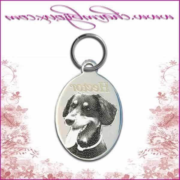 Read more about the article Médaille chien médaille chien originale